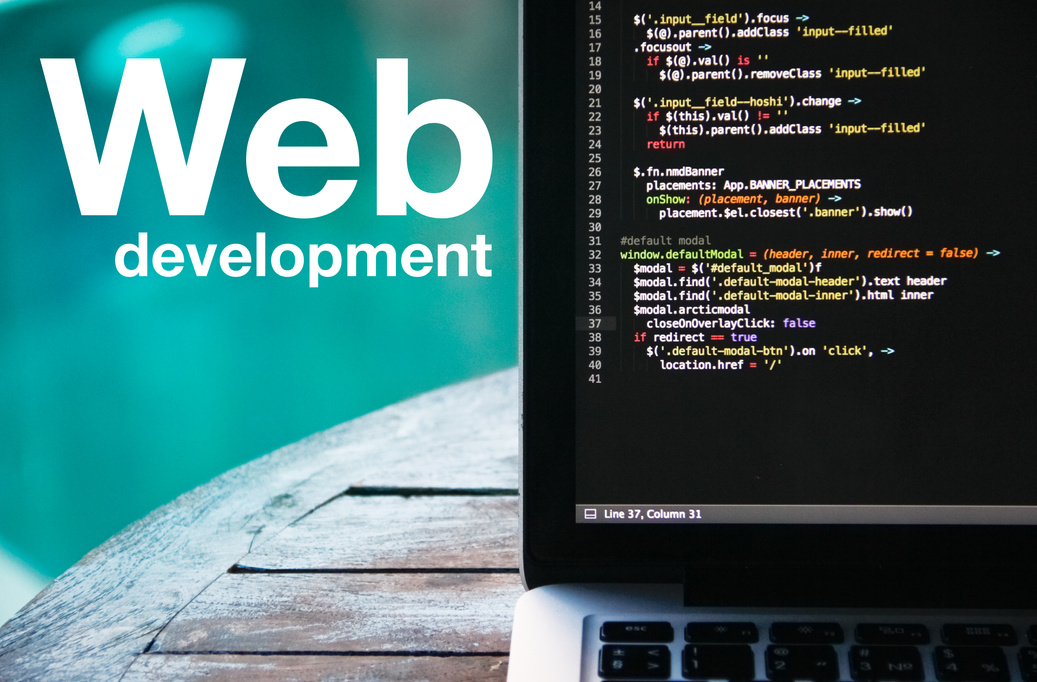 web development